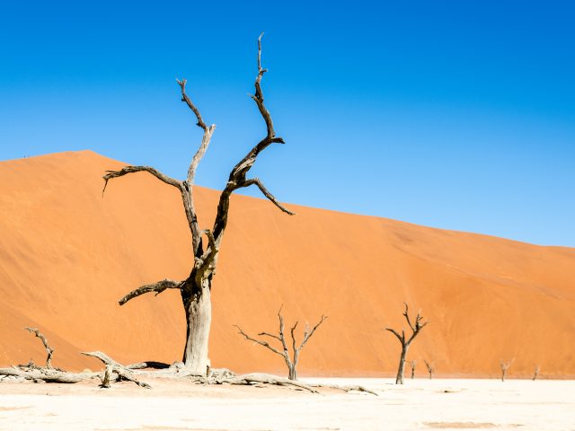 Ohne Fensterheber in die Namib-Wüste