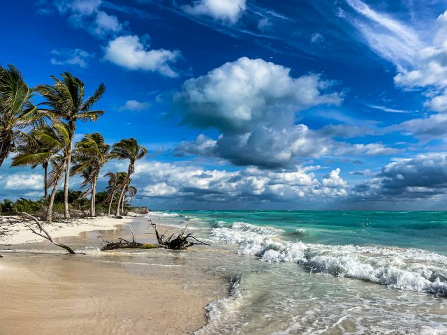 Abschluss Mexiko: die Yukatan Halbinsel